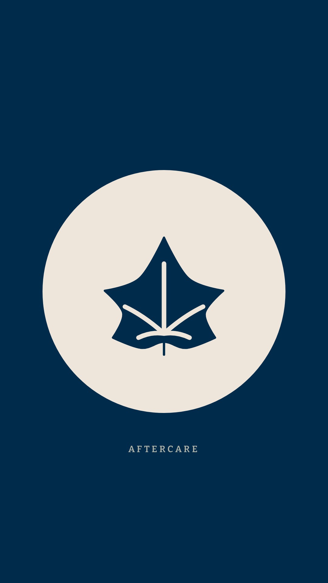 Winks by Jo · highlight · Aftercare